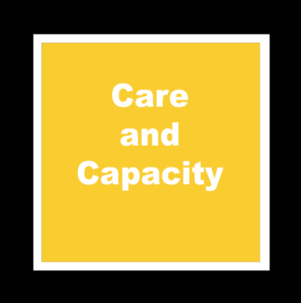 Care & Capacity Box Front